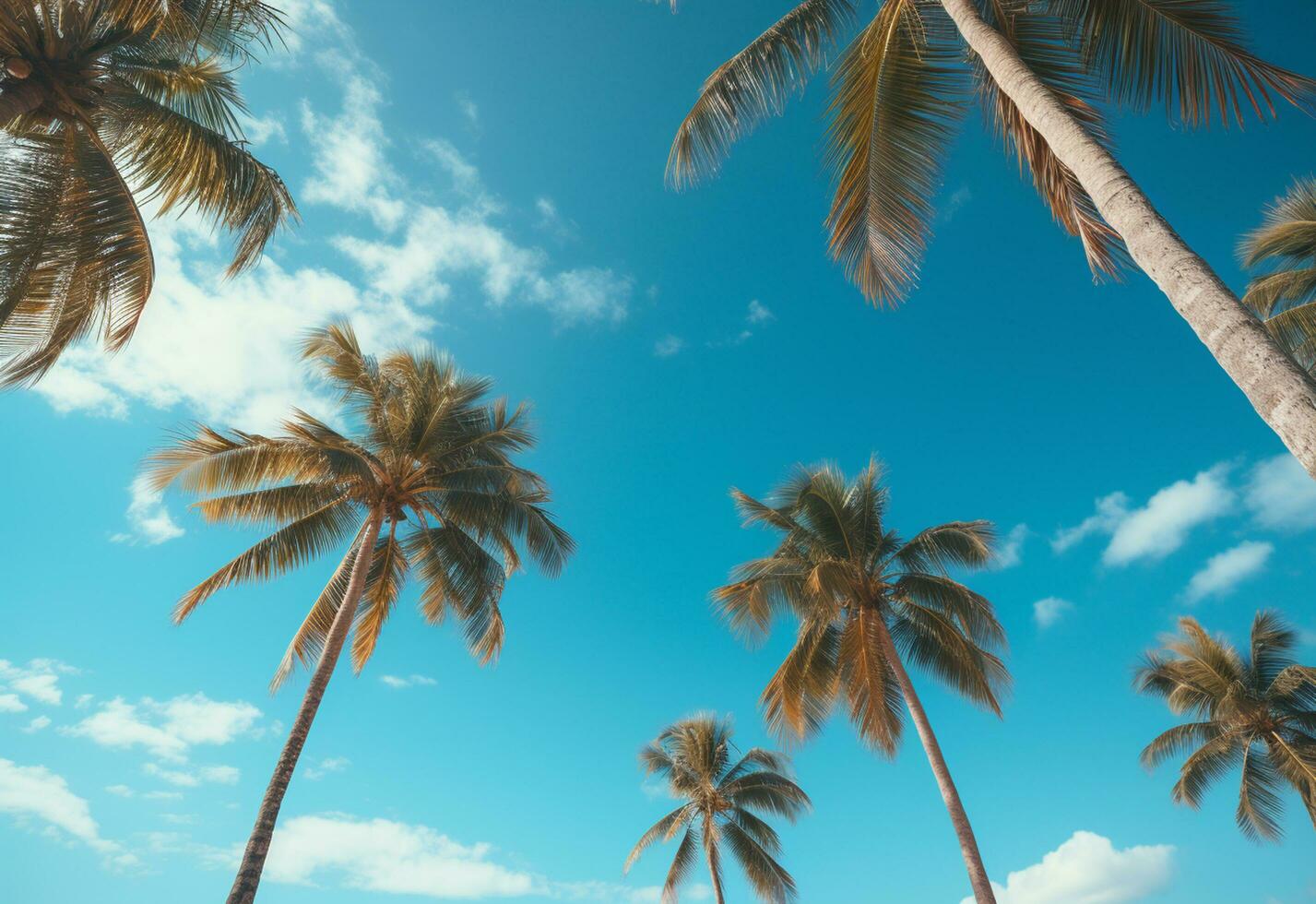 Ai Generated Blue sky and palm trees view from below, vintage style, tropical beach and summer background, travel concept realistic image photo