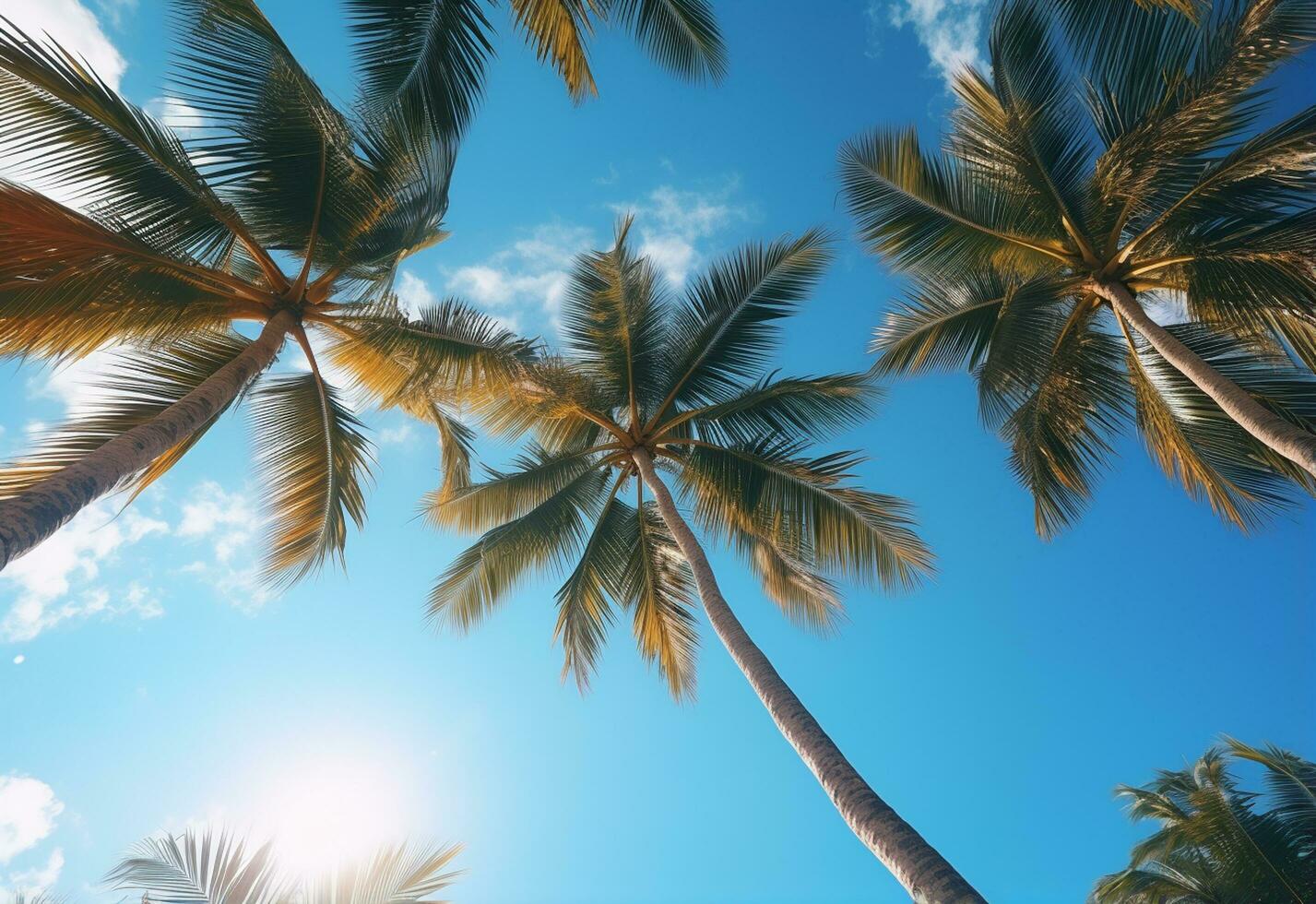 Ai Generated Blue sky and palm trees view from below, vintage style, tropical beach and summer background, travel concept realistic image photo