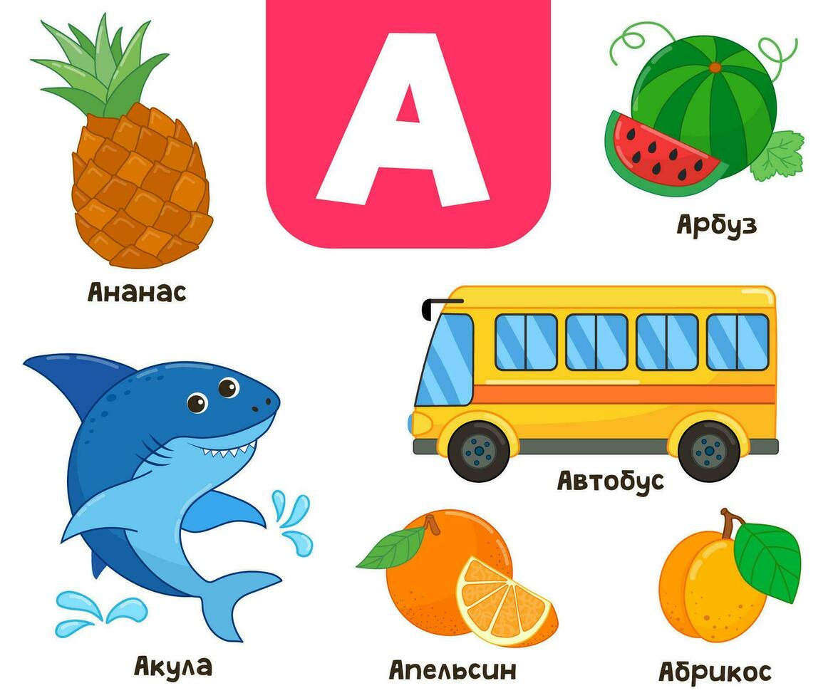 Russian alphabet. Written in Russian - pineapple, watermelon, shark, apricot, bus vector