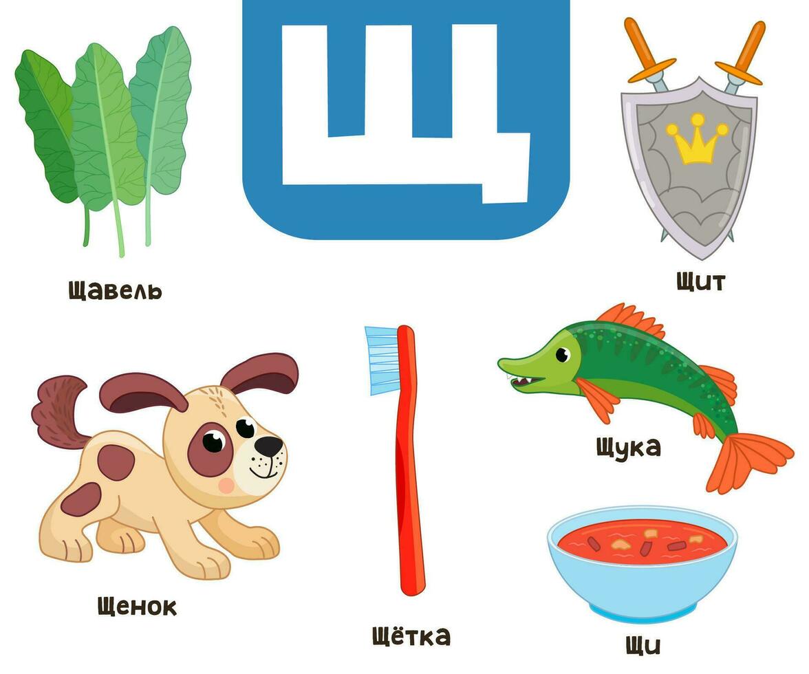 Russian alphabet. Written in Russian shield, pike, sorrel, puppy, brush, cabbage soup vector