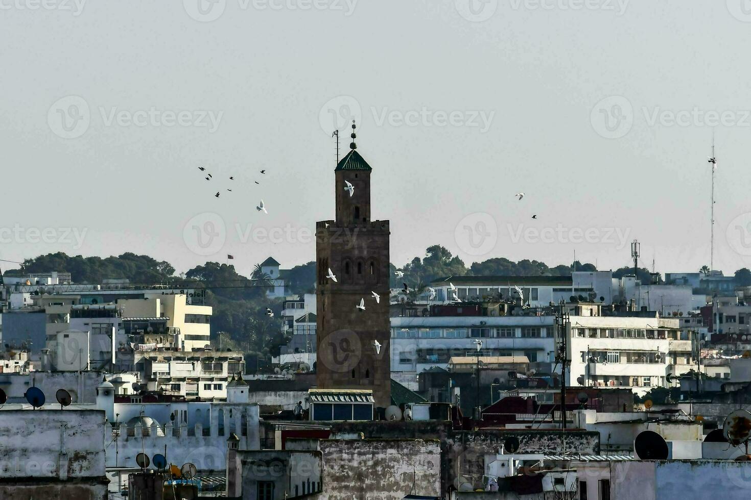 a view of the city with a tower photo