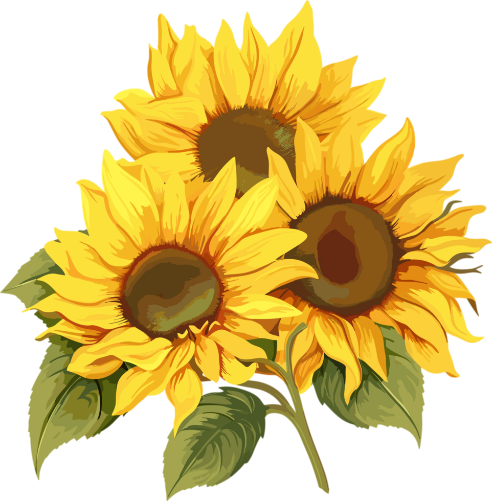 yellow sunflower illustration 32698848 PNG