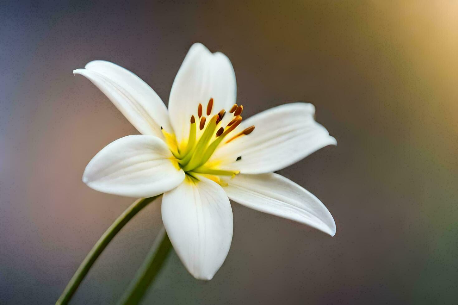 Lily Flower Ai Generative photo