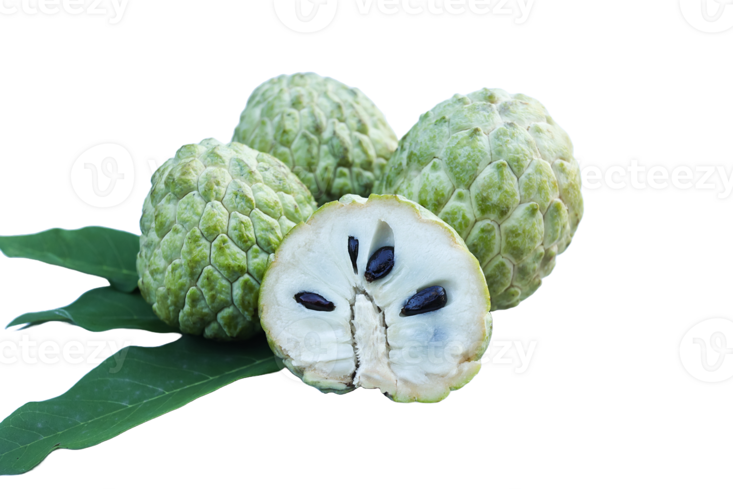 socker äpple eller tjock vaniljsås äpple transparent bakgrund.exotisk tropisk thai annona eller Cherimoya frukt png