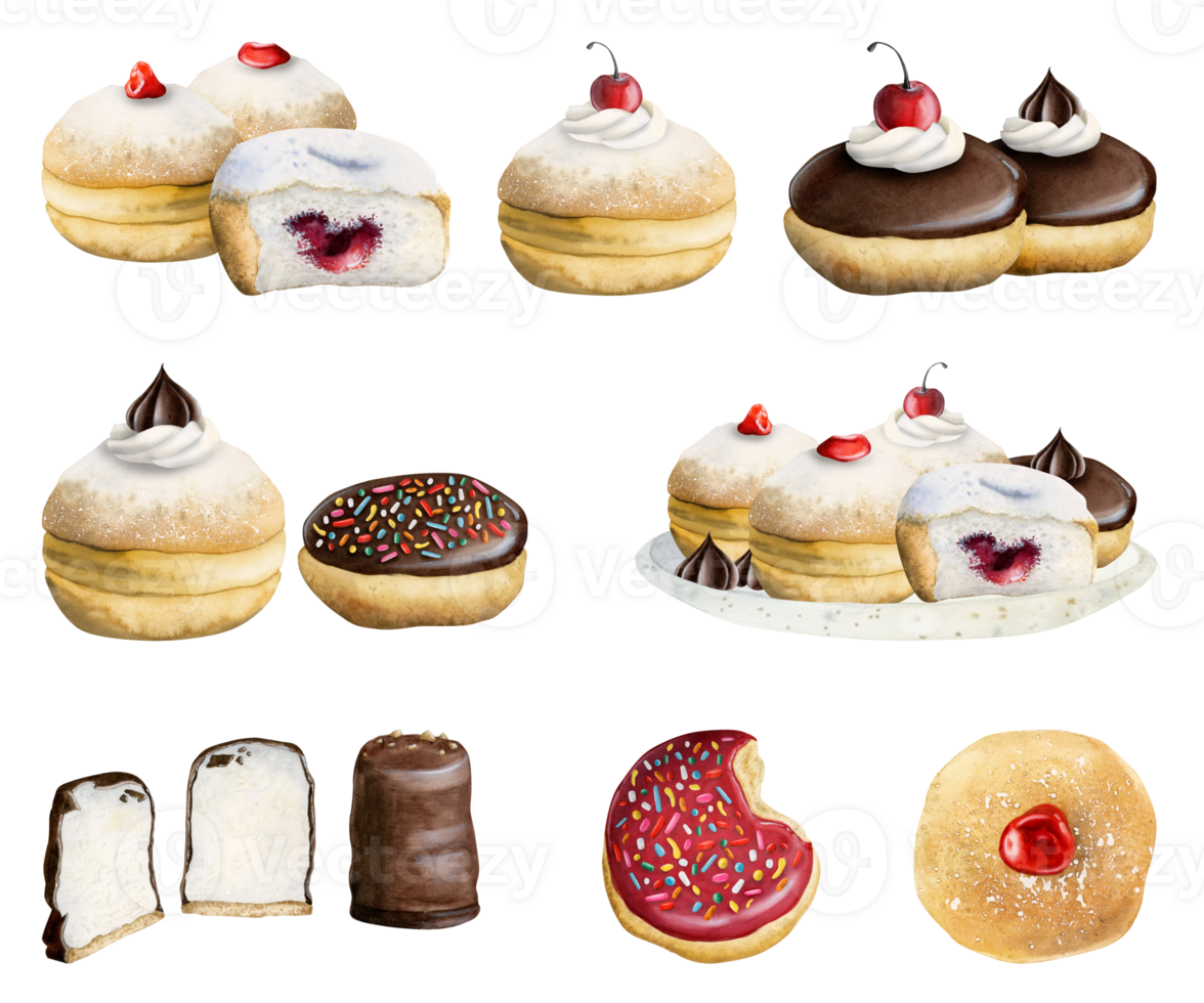 Hanukkah desserts and donuts set with strawberry and chocolate. Delicious hand drawn sufganiyot illustrations bundle of doughnuts with different toppings for bakery, menus png