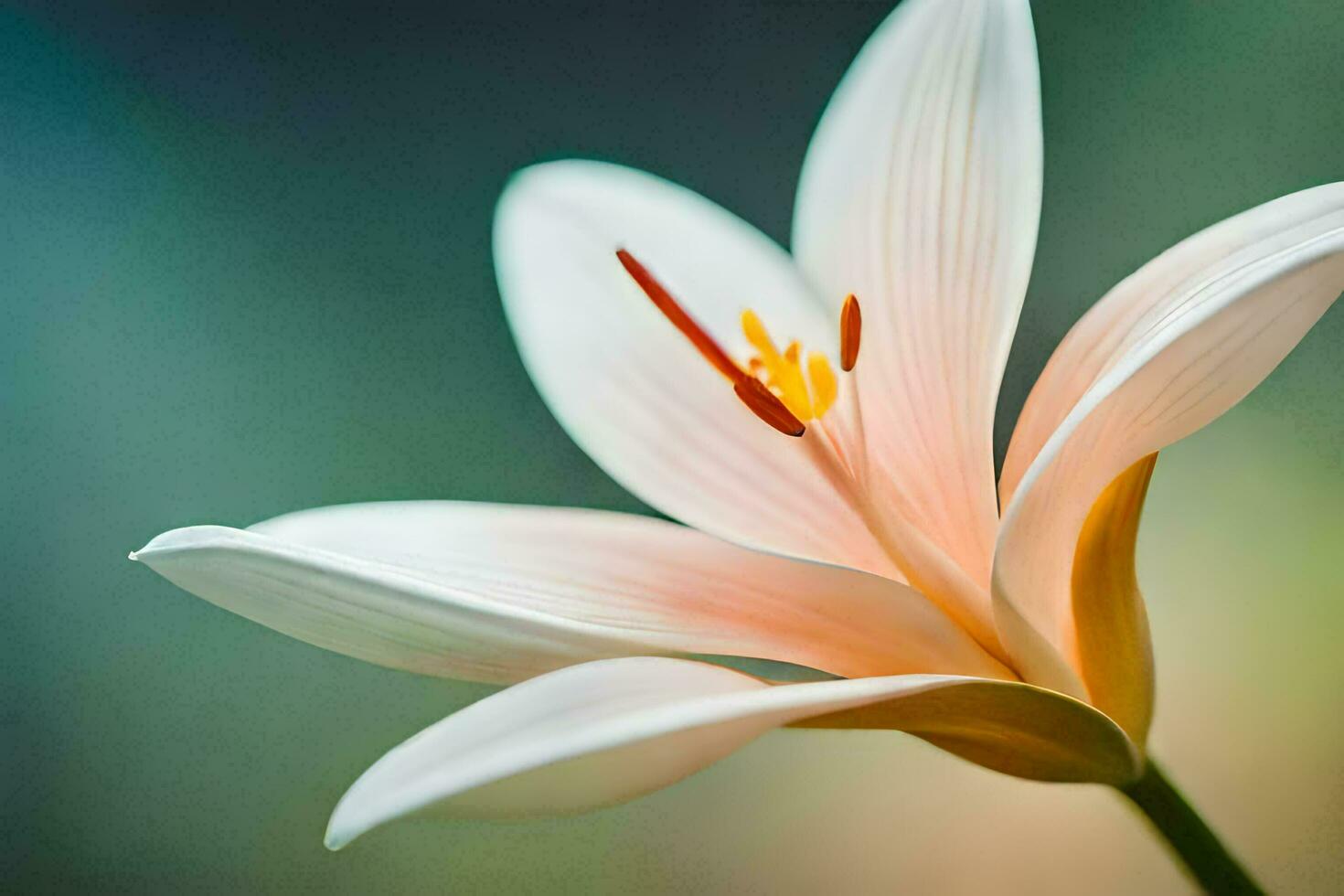 Lily Flower Ai Generative photo