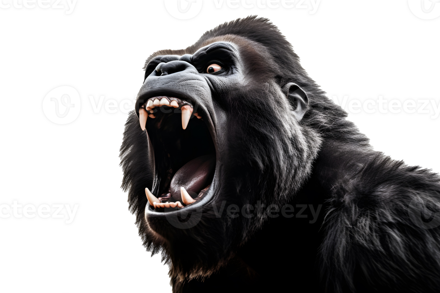 AI Generative agressive gorilla howling png