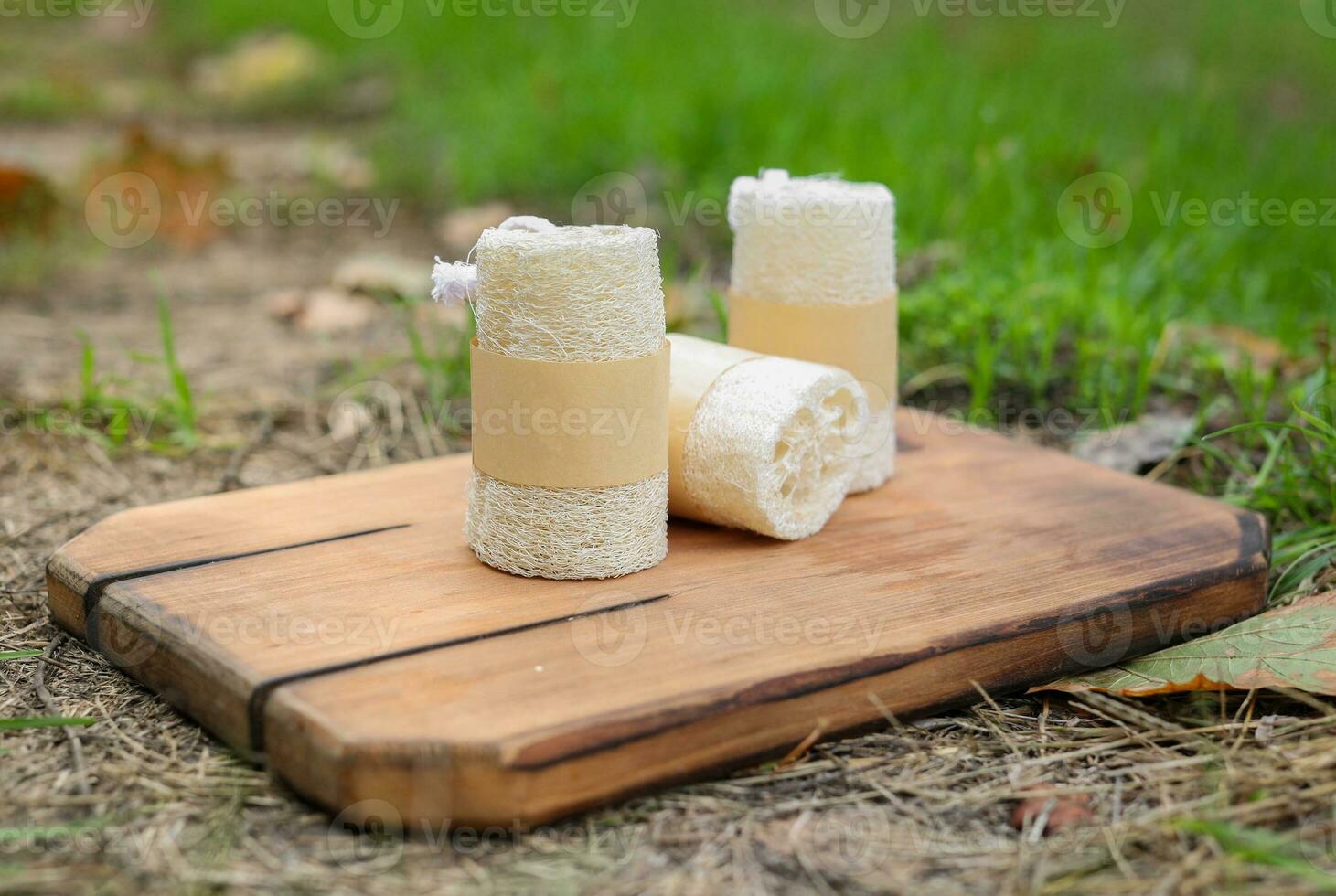 Luffa Loofah. Vegetable sponge extracted from the Luffa plant on wooden board. Eco friendly loofahs sponges, zero waste. Sustainable bathroom and lifestyle, plastic-free and eco-friendly concept. photo