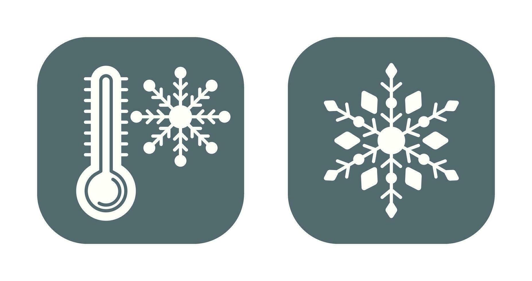 Snow Flake and Cold Icon vector