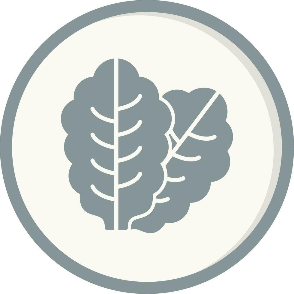 Lettuce Vector Icon