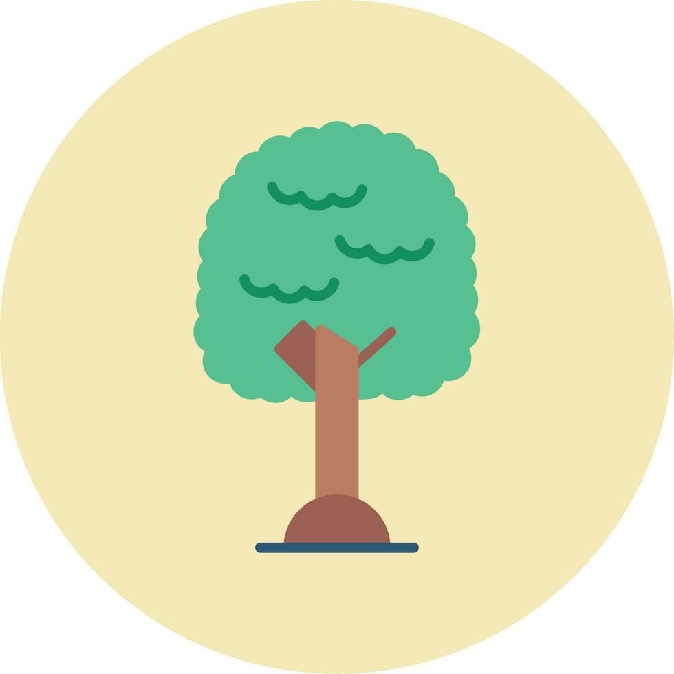 Pecan Vector Icon