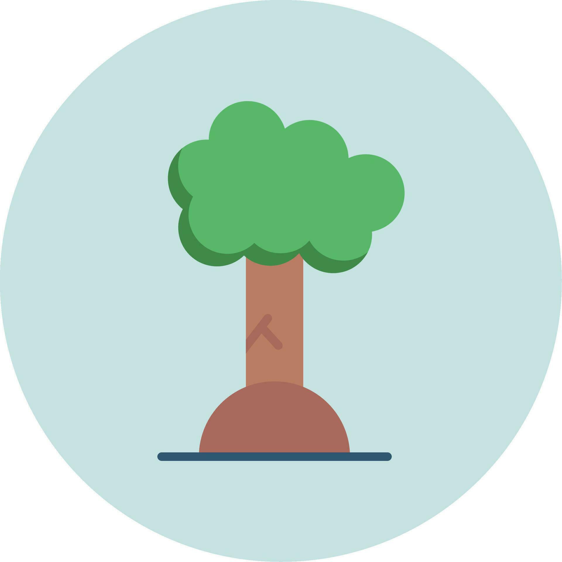 Beech Vector Icon 32707301 Vector Art at Vecteezy