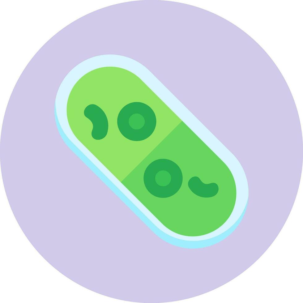 Cylindrocystis Vector Icon