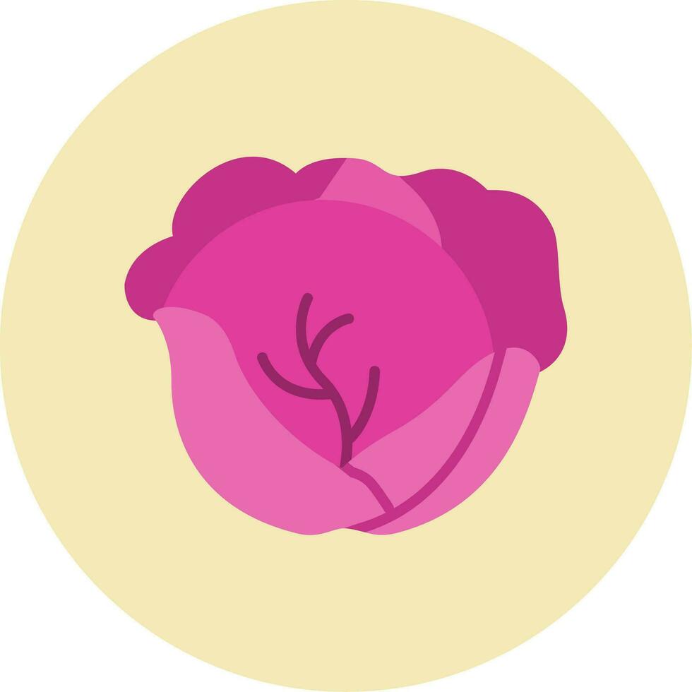 Red Cabbage Vector Icon