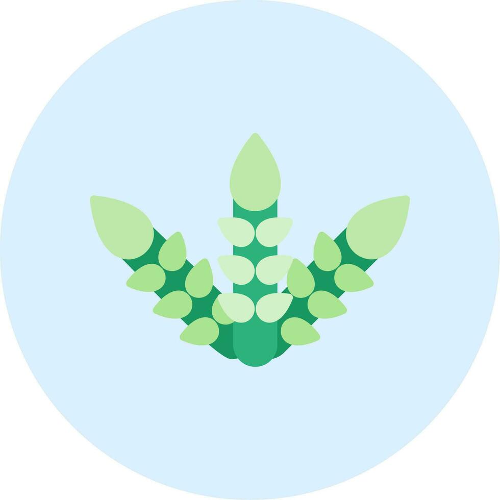 Asparagus Vector Icon