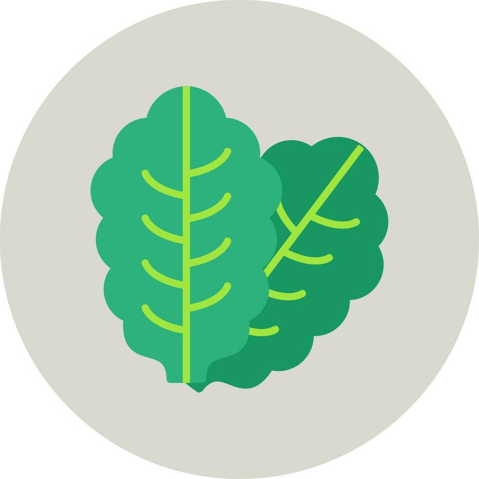 Lettuce Vector Icon