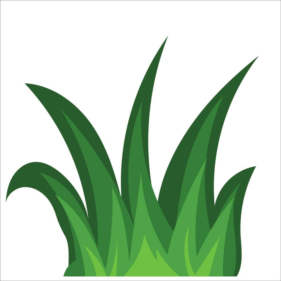 Grass vector png