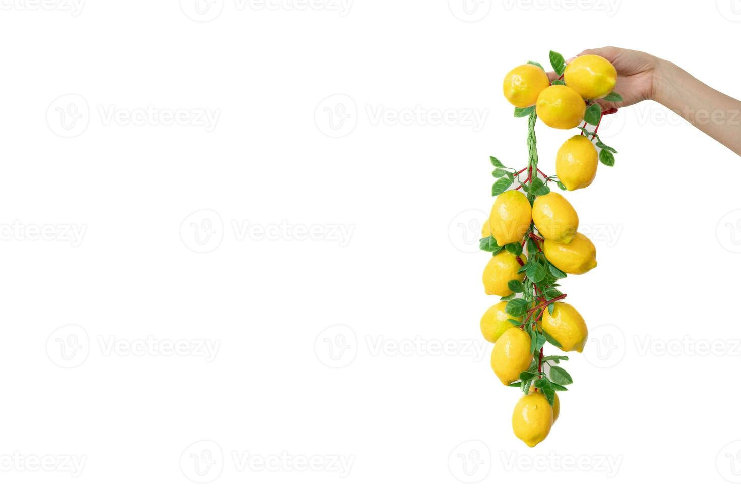 Woman hand holding a bunch of artificial yellow lemon on white isolate background. photo