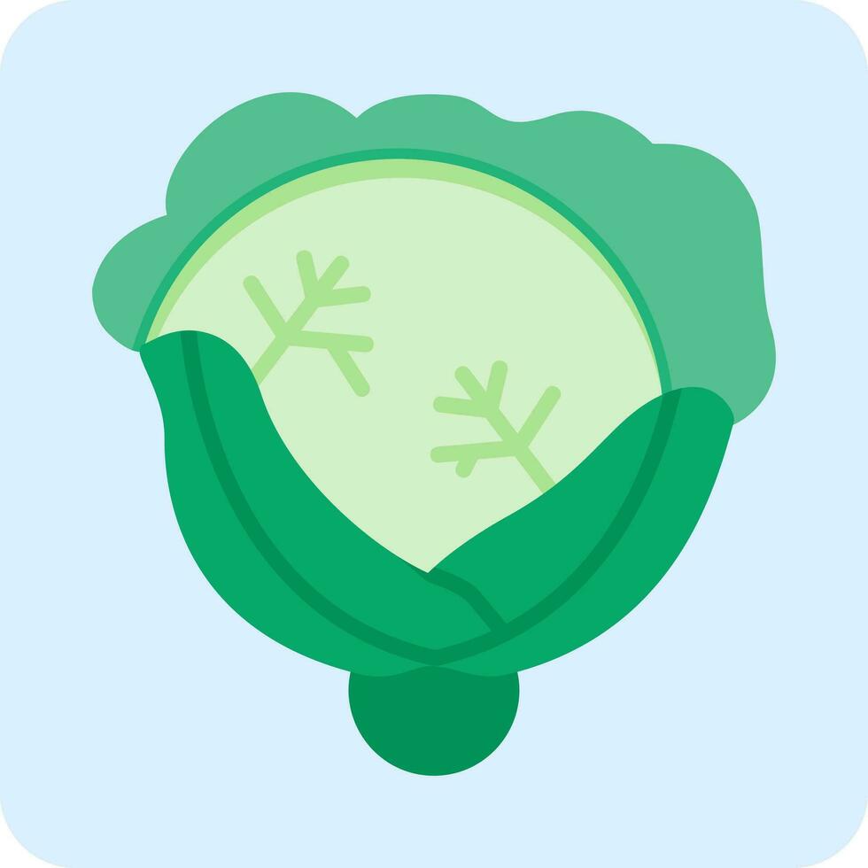 Cabbage Vector Icon