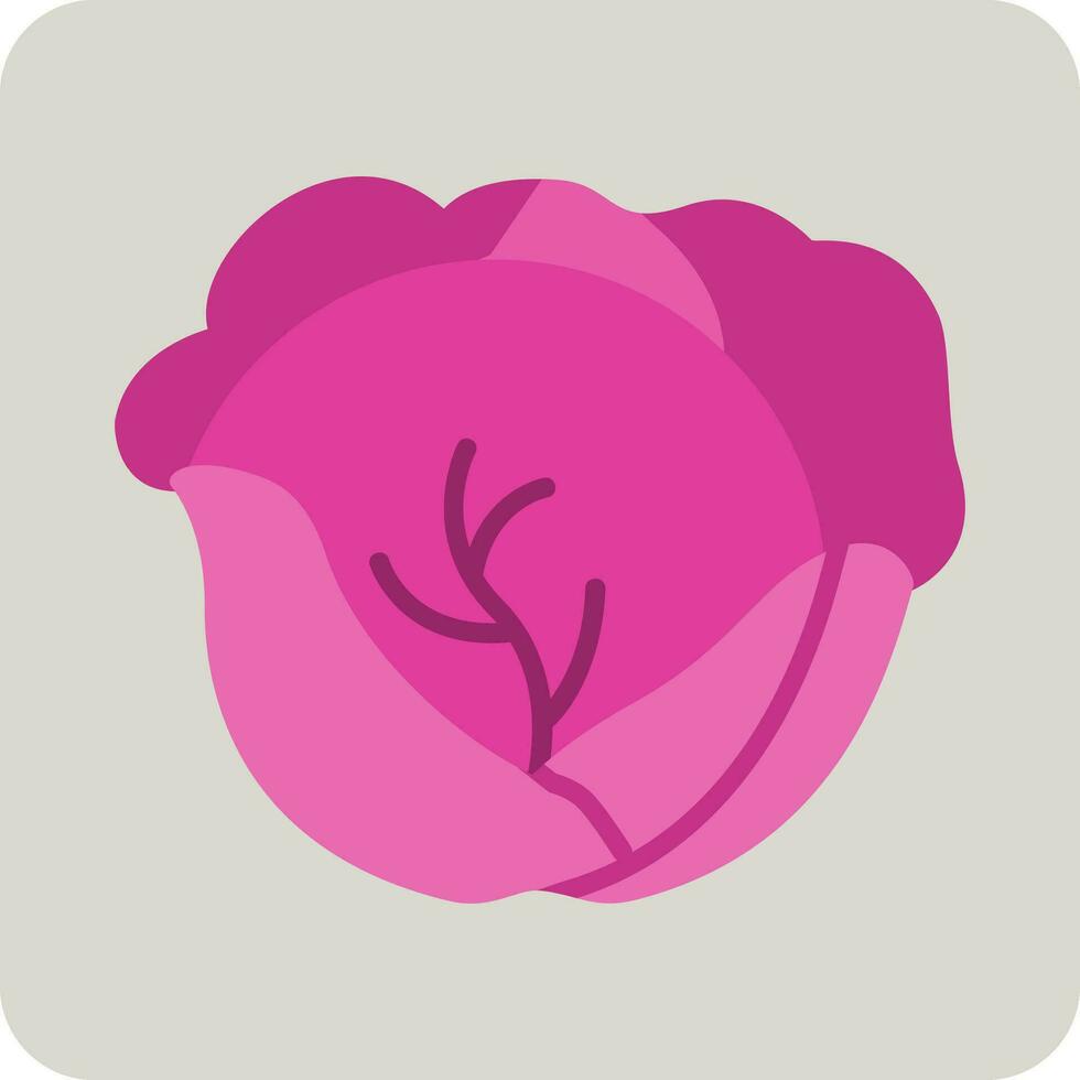Red Cabbage Vector Icon