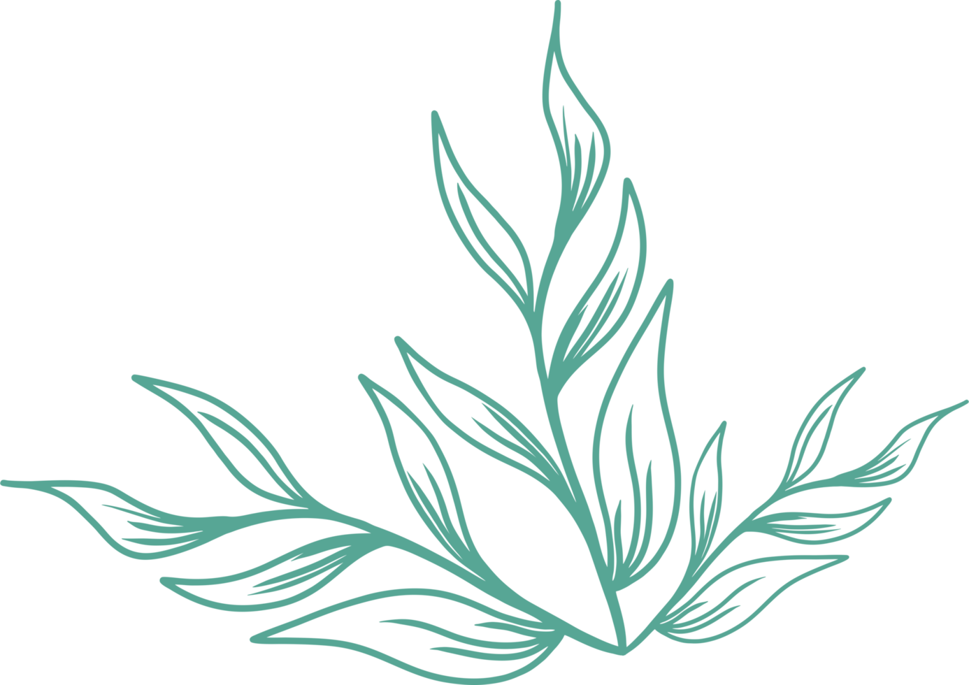 Botanical floral elements PNG