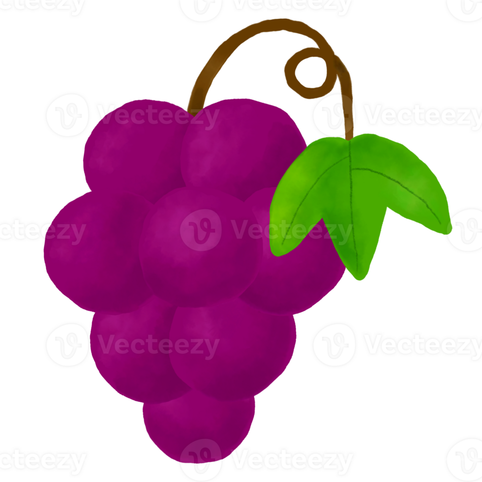 Bunch of purple grapes on transparent background png
