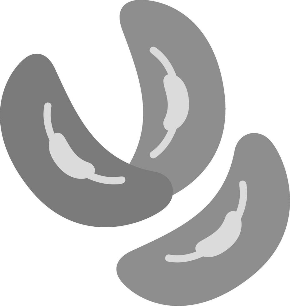 Kidney Bean Vector Icon