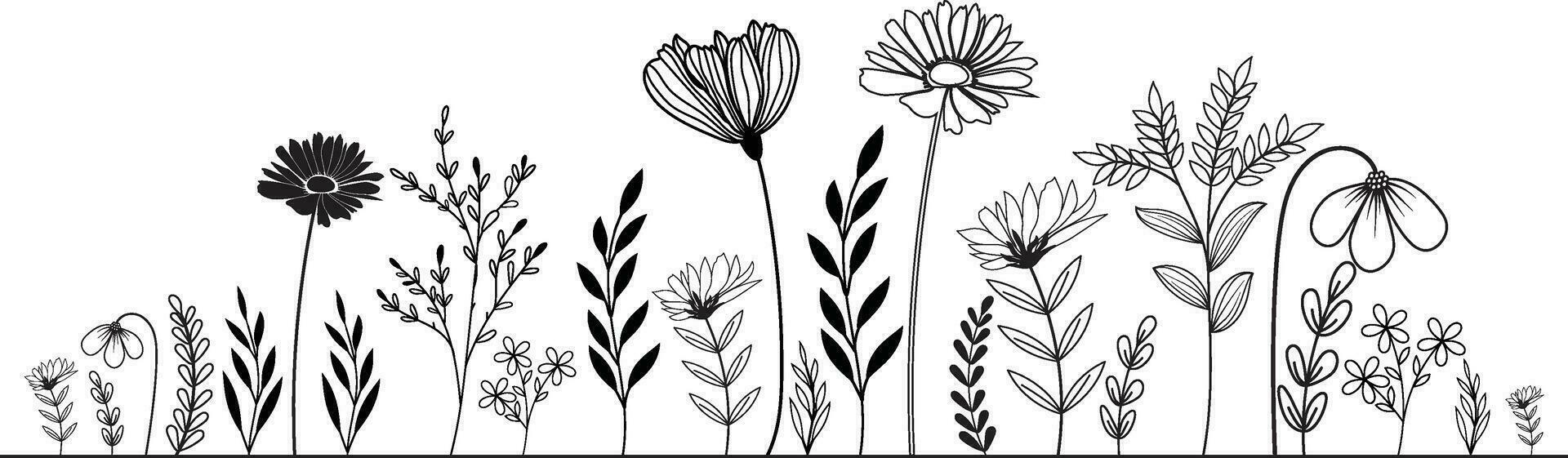 Hand-drawn wildflowers meadow. Black and white doodle wildflowers and grass plants. Monochrome floral elements. vector