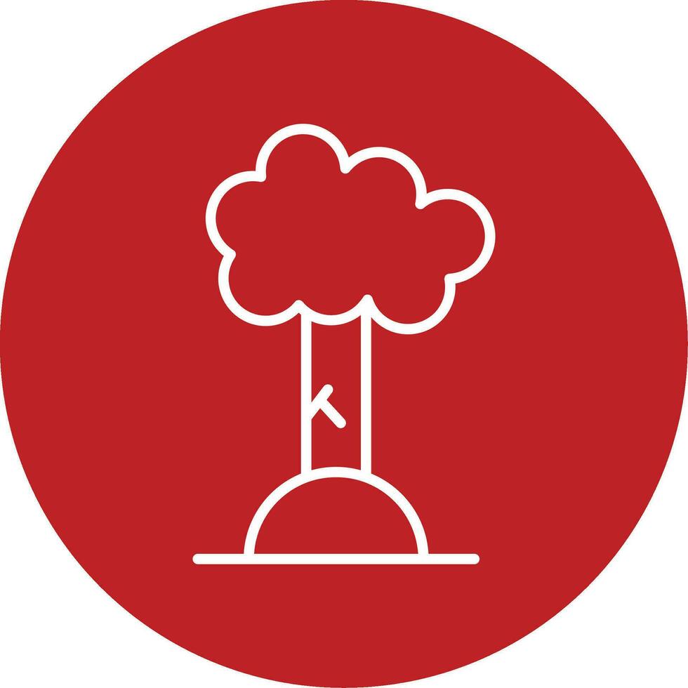 Beech Vector Icon