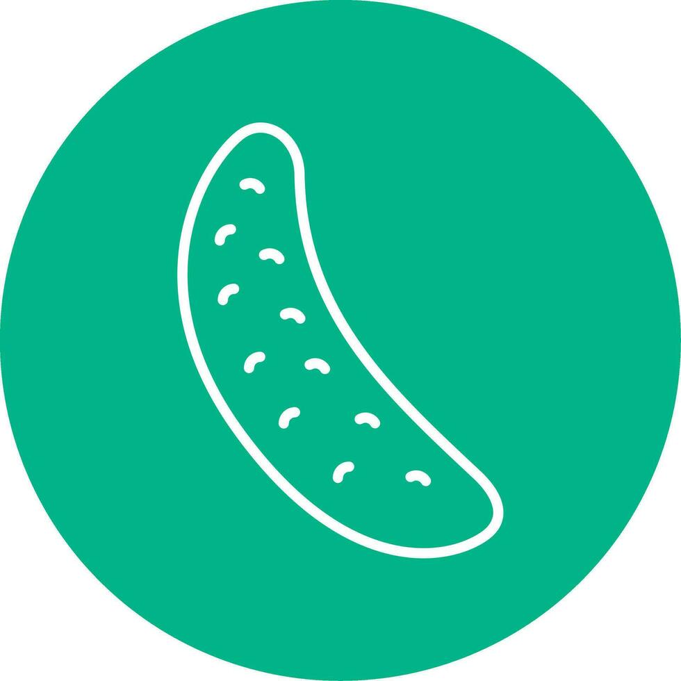 Cucumber Vector Icon