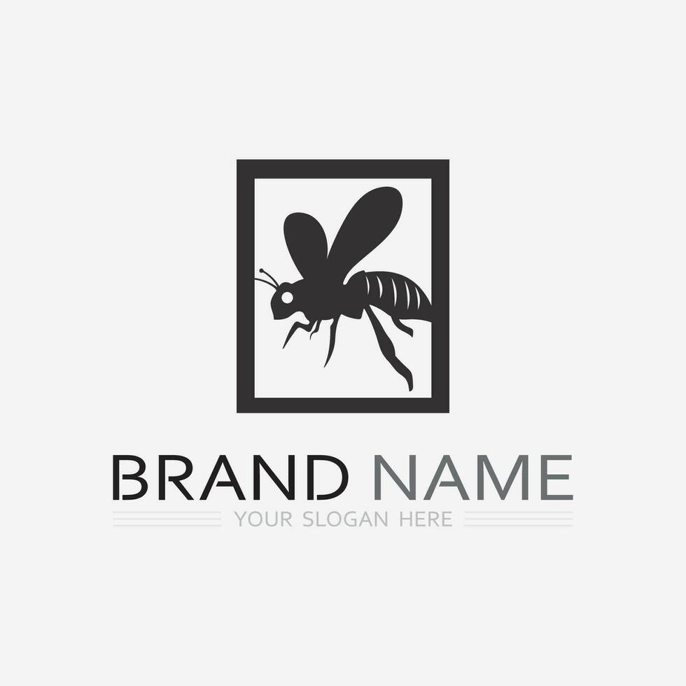 bee and honey logo vector design and insect animal illustration