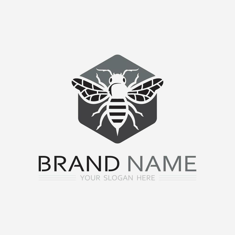 abeja y miel logo vector diseño y insecto animal ilustración