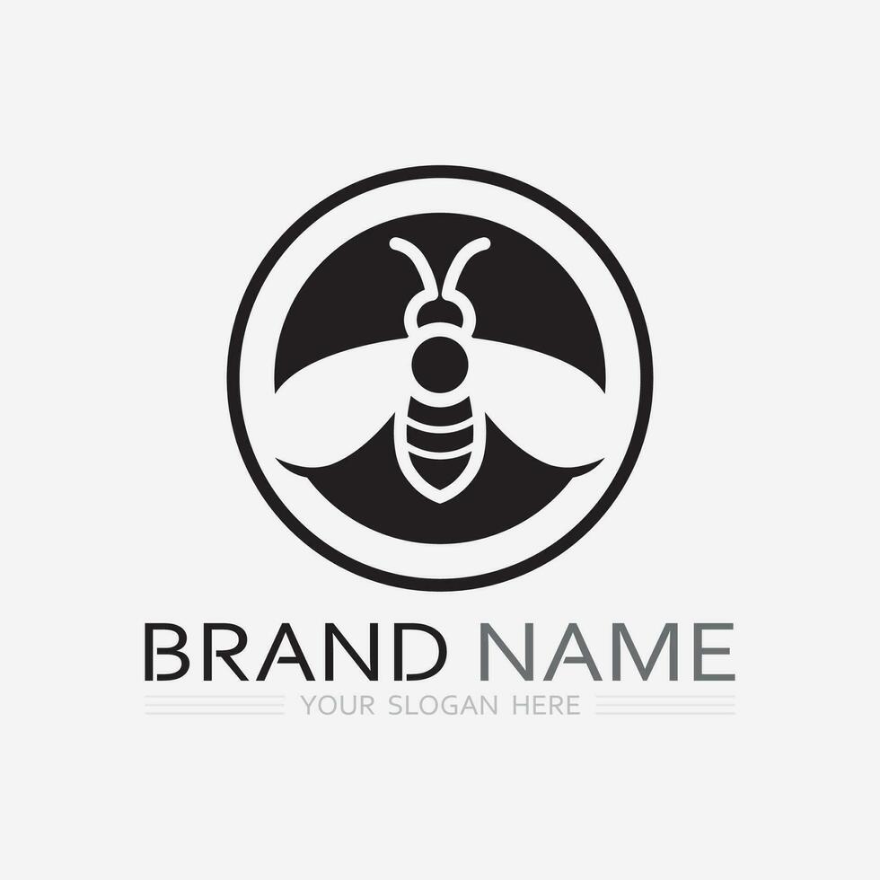 bee and honey logo vector design and insect animal illustration