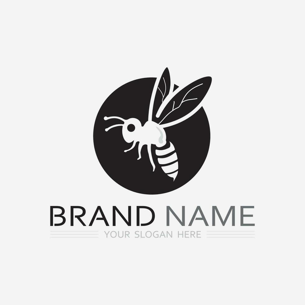bee and honey logo vector design and insect animal illustration