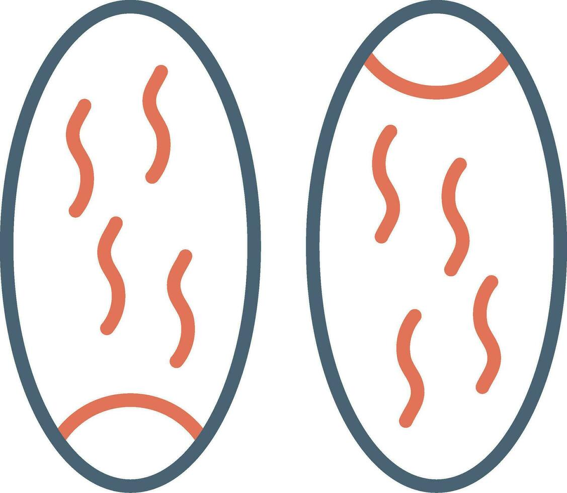 Dates Vector Icon