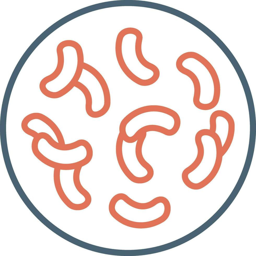 Lactobacillus Vector Icon
