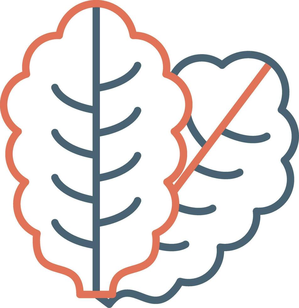 Lettuce Vector Icon