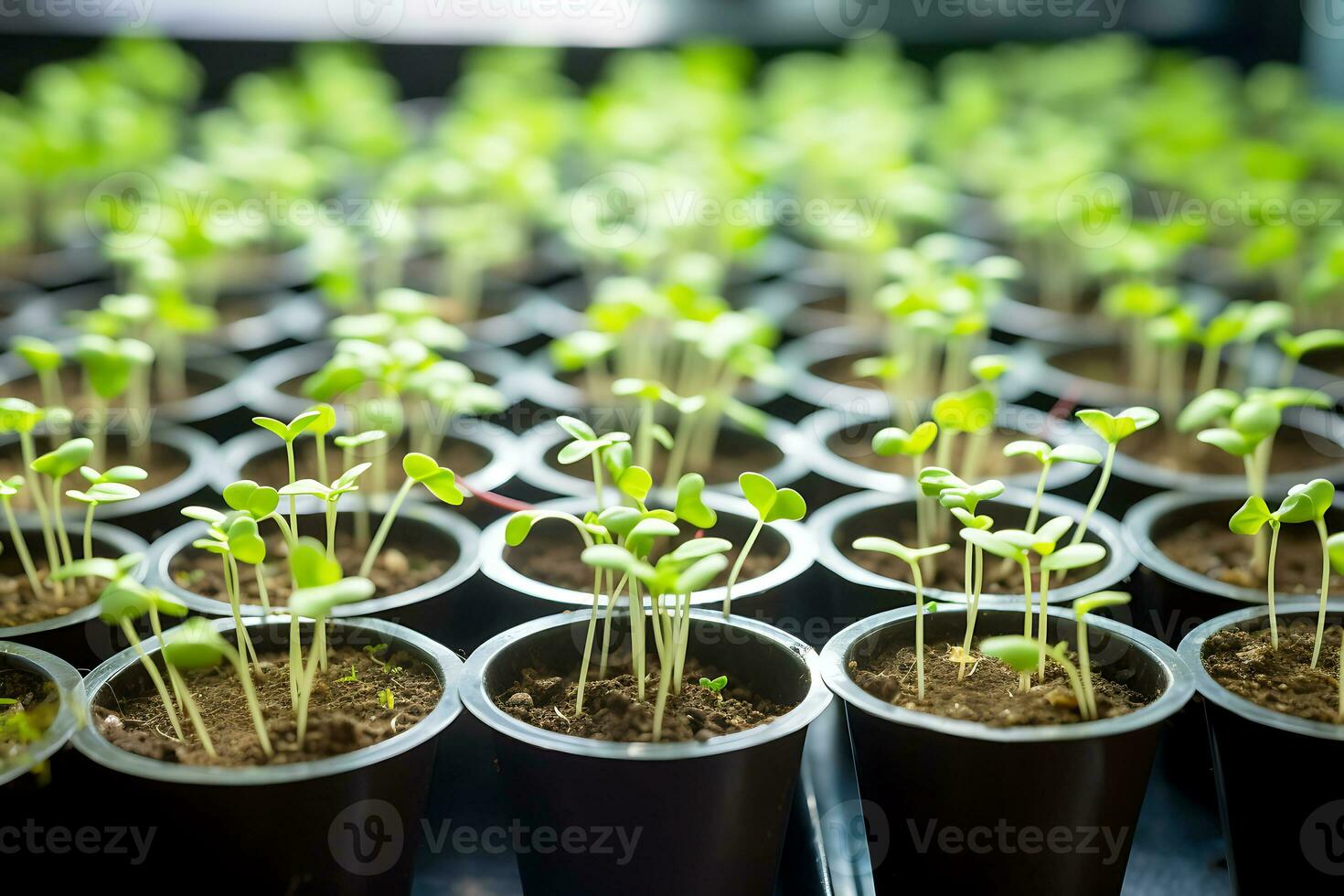 bandejas con planta plántulas moderno en vertical granja. ai generativo foto