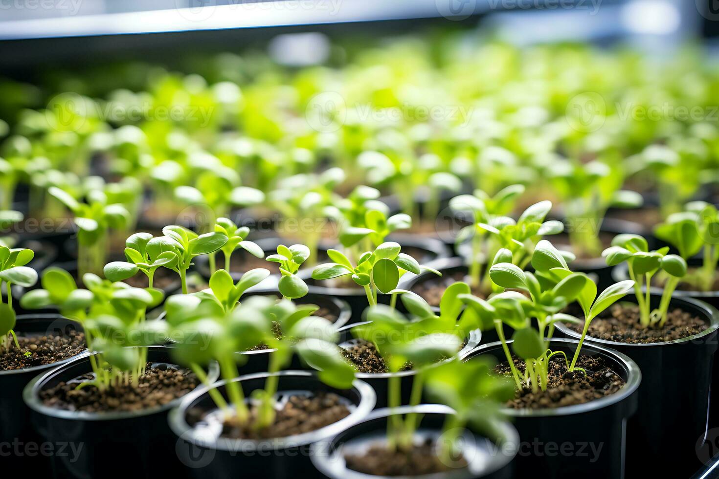 bandejas con planta plántulas moderno en vertical granja. ai generativo foto