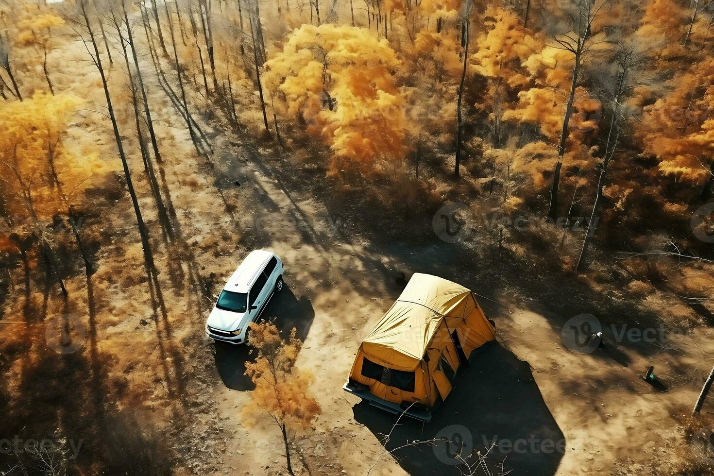 a scene from the video game the last of us showing a path through a forest with flowers and trees generative ai 28376680 Stock Photo at Vecteezy