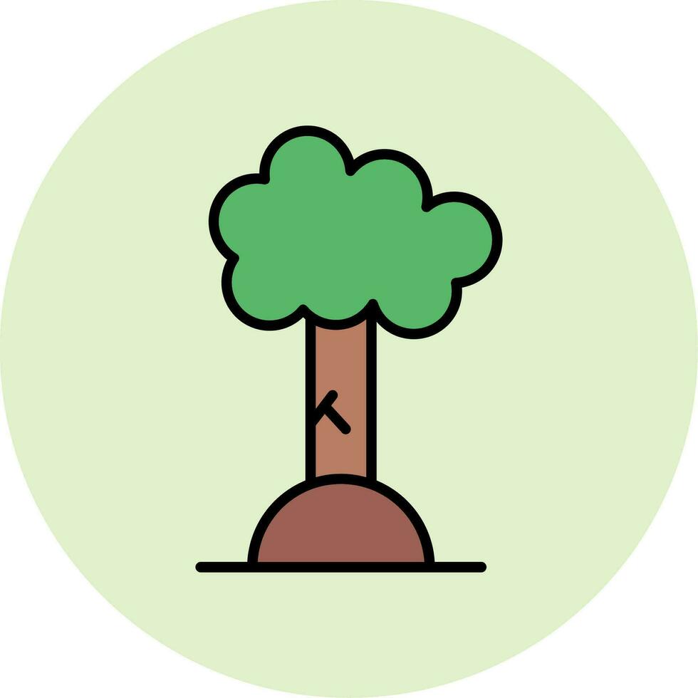 Beech Vector Icon