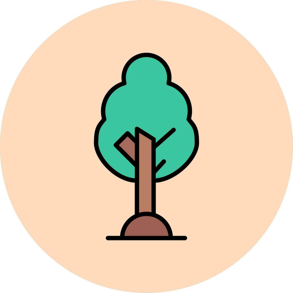 Birch Vector Icon
