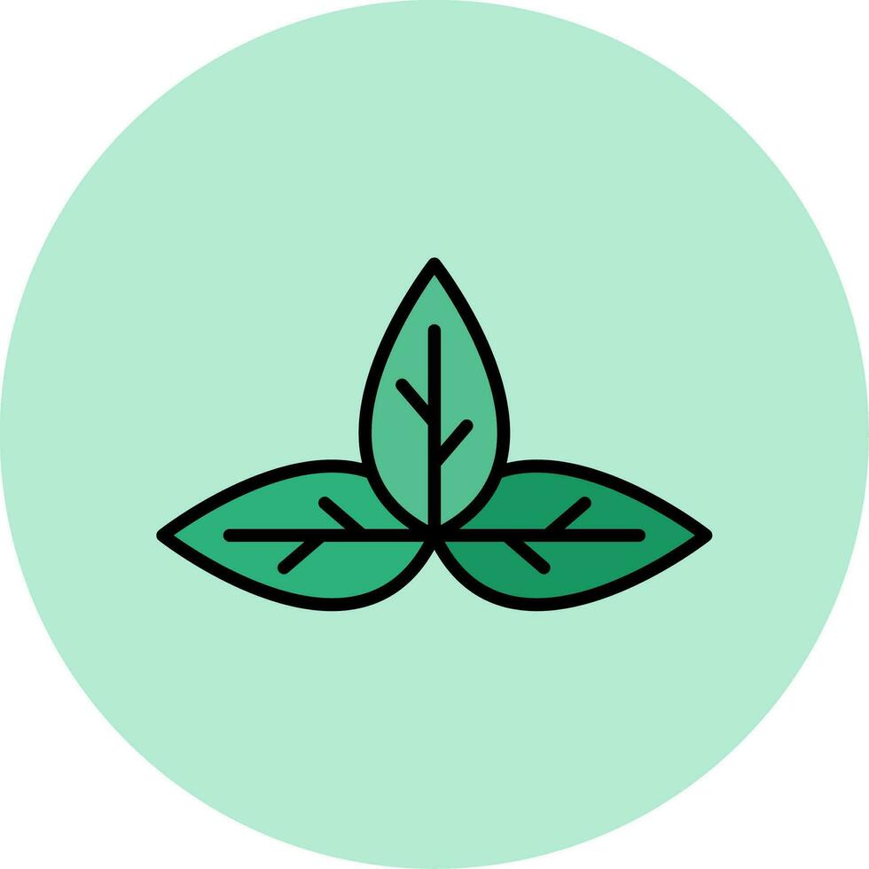 Basil Vector Icon