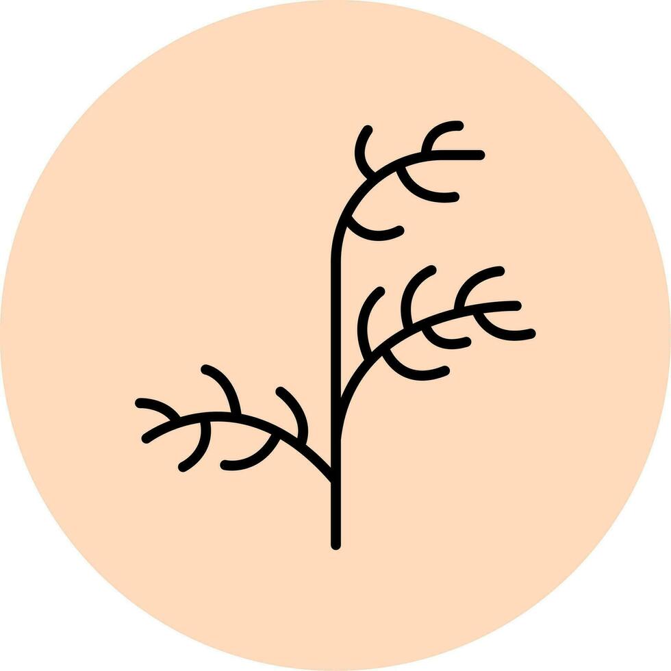 Dill Vector Icon