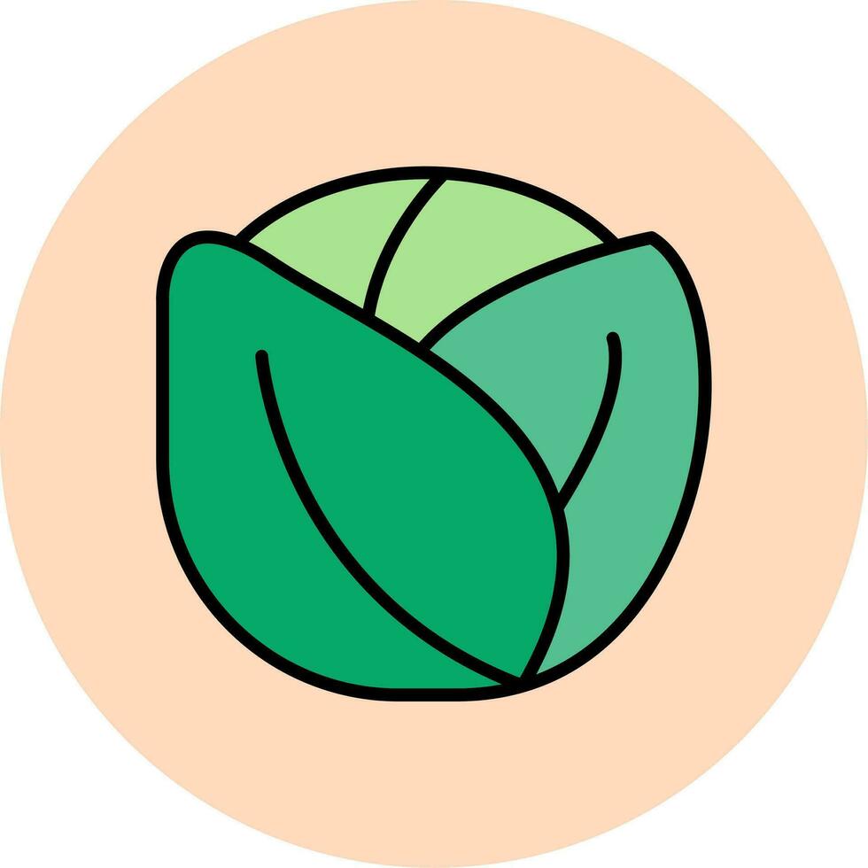 Brussels Sprouts Vector Icon