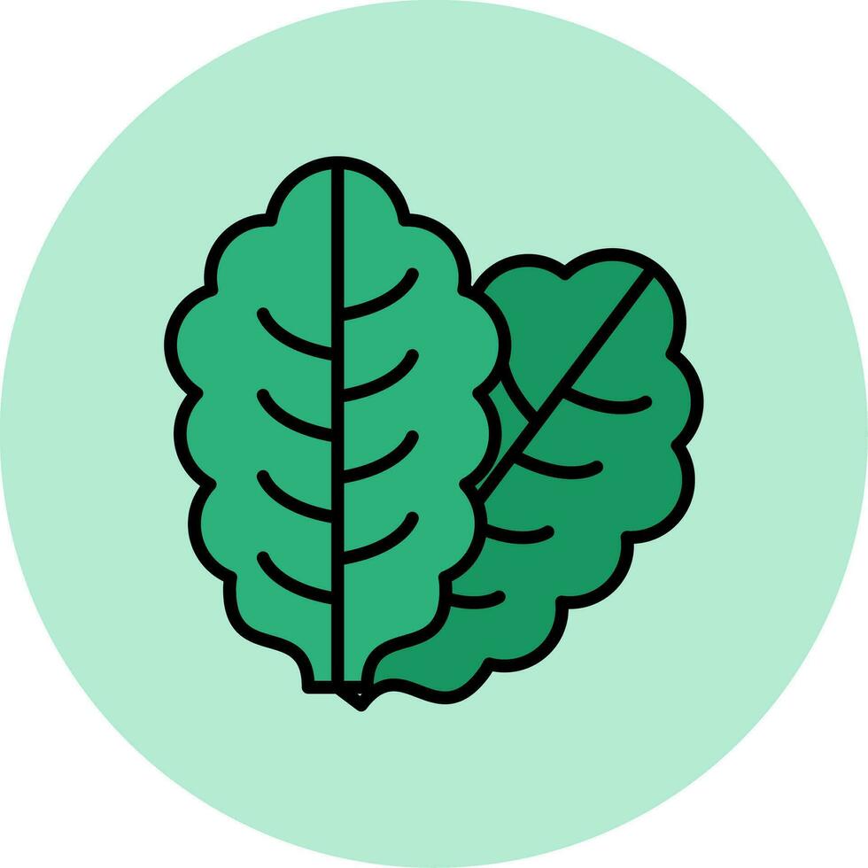 icono de vector de lechuga