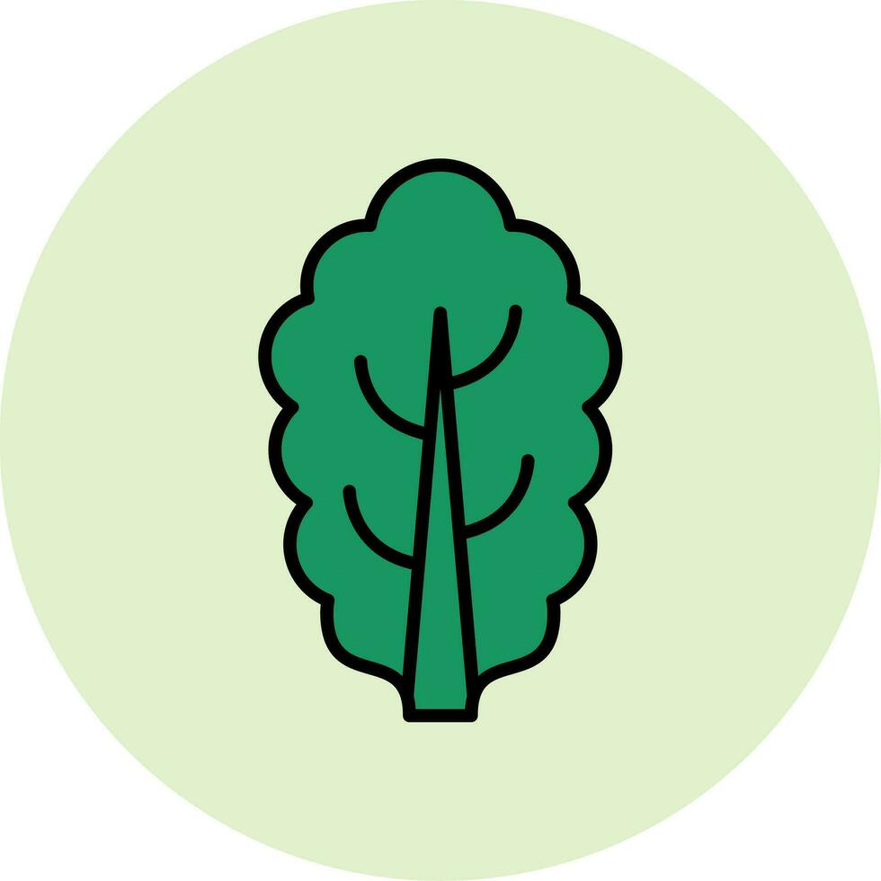 Chard Vector Icon