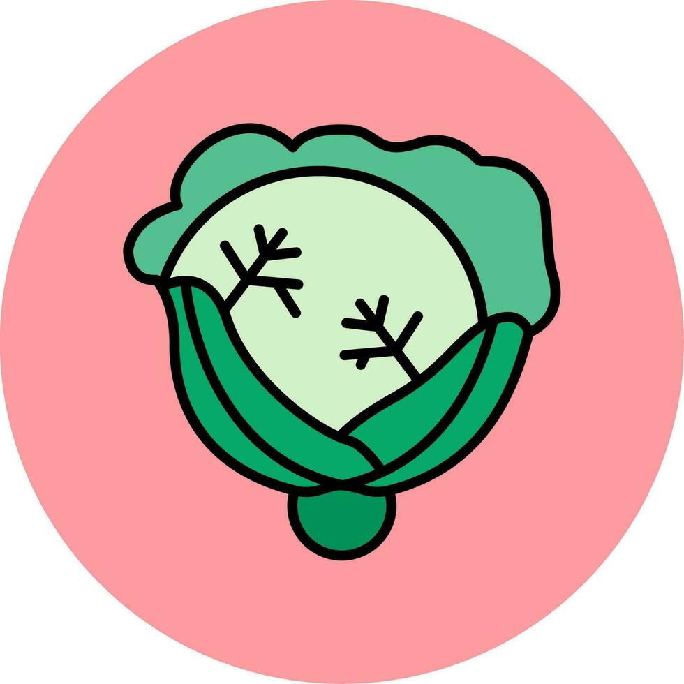 Cabbage Vector Icon