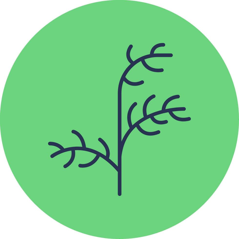 Dill Vector Icon