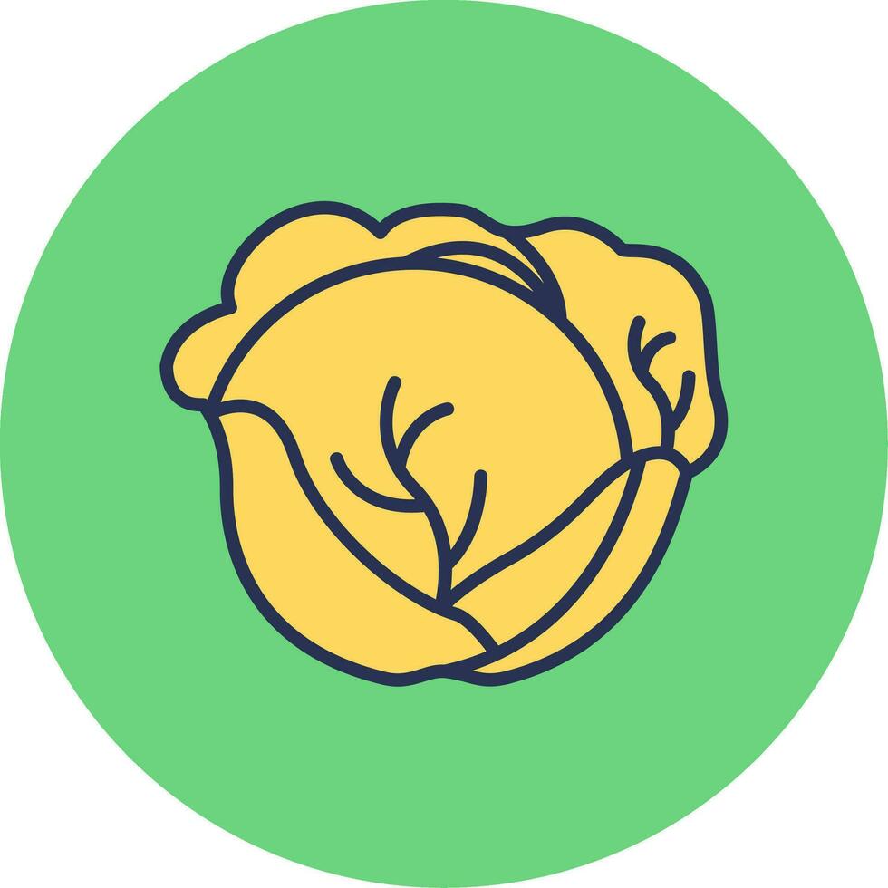 Red Cabbage Vector Icon